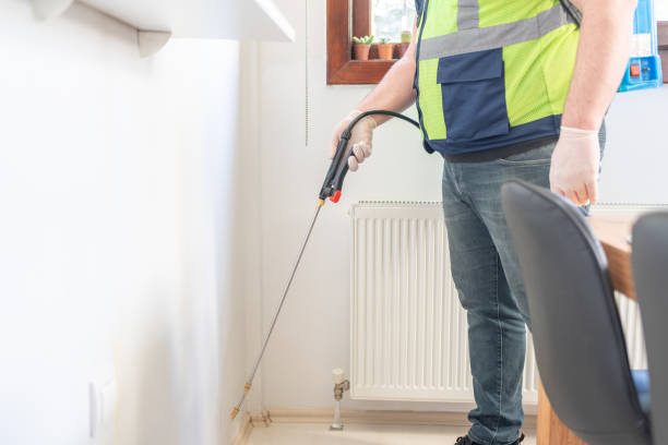 Best Flea Control Services  in Pce, LA