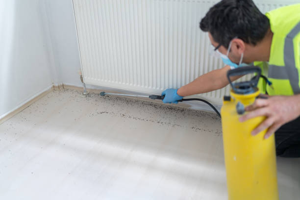 Best Bed Bug Extermination  in Pce, LA